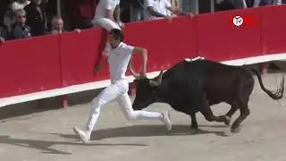 Lunel (02/04/2023) - Retrouvez les meilleurs moments de la course Royale de la Manade Cuillé