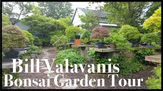 The Bonsai Garden of Bill Valavanis - Greenwood Bonsai