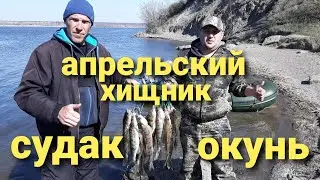 Апрельский хищник Судак,Окунь