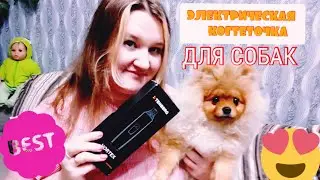 Гриндер для собак Tenberg Vortex Black: мой обзор!