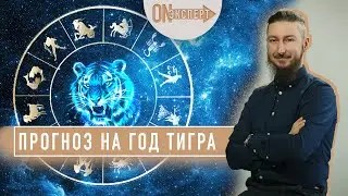 Прогноз на Год Тигра 2022 | Что ждет всех знаков - Восточный гороскоп