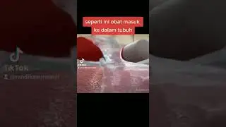 proses pencernaan obat 