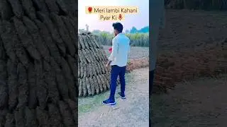🌹Meri lambi Kahani Pyar Ki🌷 #djrajeev #youtubeshorts #rambhajn #rambhjan #surajactor