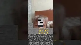 24 августа 2024 г.