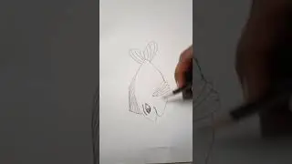 draw a fish