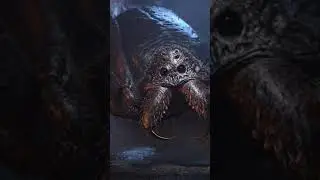 Арагог ( Акромантул )   ( Гарри Поттер ) 
