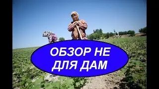 ОБЗОР НЕ ДЛЯ ДАМ
