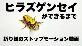 折り紙　ヒラズゲンセイ　 Origami　blisterbeetle