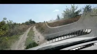 Птицы на дороге