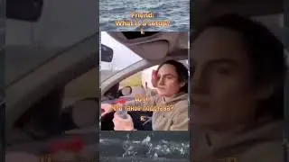 мем с тик тока 