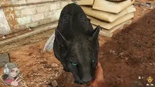➤ FAR GRY 6 PS4 ➤ 🎮 СЛАВНАЯ КИСА