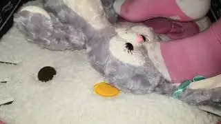 Dirty sweaty socks trample stuffed bunny