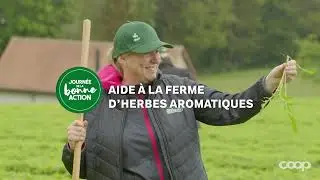 Aide à la ferme d'herbes aromatiques | Journée de la bonne action | 2024