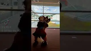 Furry Couple Goals 