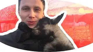 Контактный ЗООПАРК в домашних условиях своими РУКАМИ!