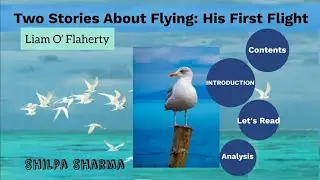 Class 10- His First Flight |Two Stories about Flying | Summary| In-depth Analysis