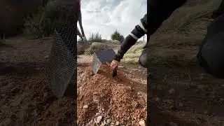 POV: Tomb ⚰️ Would you try it? 