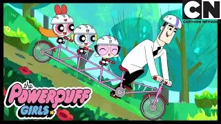 Feliz dia dos pais! | As Meninas Superpoderosas | Cartoon Network 🇧🇷