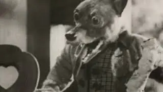 The Wolf and the Seven Kids