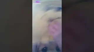 27 сентября 2018 г.