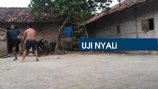 Uji Nyali