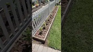 Barking up on a Gardener's Weekend. 