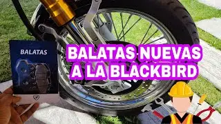 Changing Motorcycle Brake Pads | BLACKBIRD 250 | IT WON'T TAKE 5 MINUTES | MIKE MP
