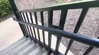 touching grass