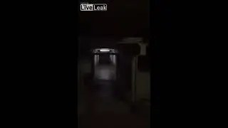 Странная ночь в бразильском морге