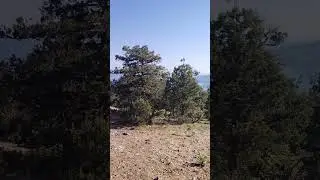 Почему в Ялте воздух целебный? 