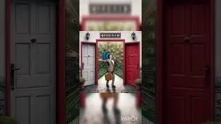 Владимир Шипко 