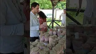 Дегустация Абхазского мёда 