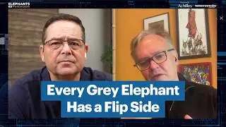 Every grey elephant has a flip side. The question is whether you can see it | EP 16