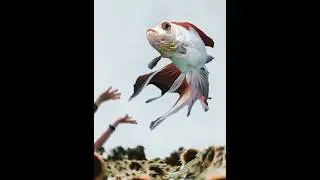 MONTAJE SURREALISMO PHOTOSHOP - PEZ / MONTAGE SURREALISM PHOTOSHOP - FISH