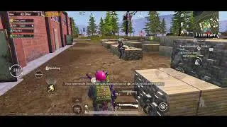 lumber yard wiped 11 solo kills in squad