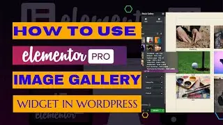 How To Use Elementor Basic Gallery Widget | Elementor Image Gallery Widget Tutorial