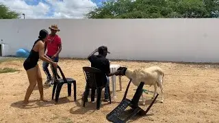 ENFRENTEI O CARNEIRO DO BAR BOCA DE LITRO E OLHA NO QUE DEU!!!!!!