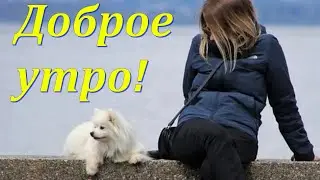 С Добрым Утром! Хорошего Дня! Красивые Пожелания Доброго Утра!