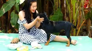 Wow! Beautiful girl playing and feeding milk to dog and puppy   how to take care your dog and puppy