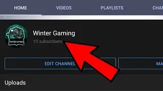 Thank You for 10 Subscribers!
