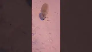 писец😊😊👍👍👍