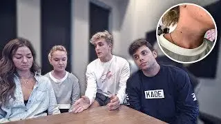 Proof that FaZe Banks Didn't Assault Meg Zelly.