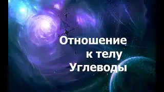 О теле. Система питания. Углеводы 2024_05_16