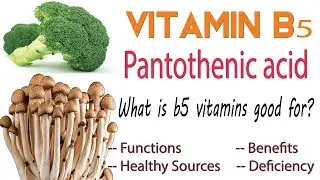 pantothenic acid explained | vitamin b5 review