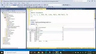 SQL Basics Tutorial For Beginners | Where Statement | 3/4