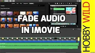 HOW TO FADE AUDIO in iMovie