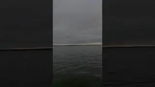 Красота