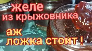 Желе из крыжовника. Как приготовить желе из крыжовника два способа. Желе из крыжовника на зиму.