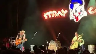 Stray Cats - Rock This Town. Manchester. 25 June 2019