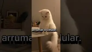 ideias de coisas para fazer no tédio.